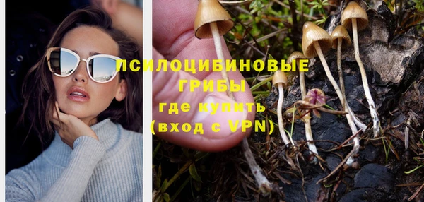 не бодяженный Новодвинск