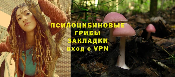 не бодяженный Новодвинск