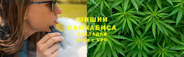 прущие грибы Нефтекумск