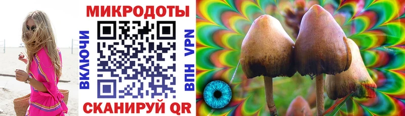 Псилоцибиновые грибы Psilocybe  это телеграм  Елизаветинская 