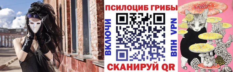 Галлюциногенные грибы Psilocybine cubensis Елизаветинская